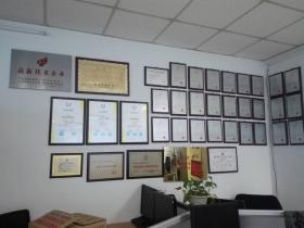 Domestic Cold Rolling Industry